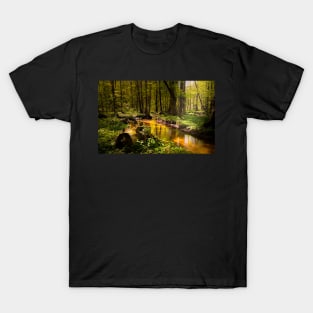 Spring mystical forest T-Shirt